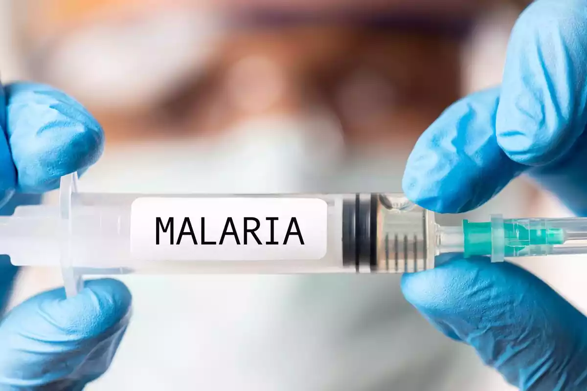 Jeringuilla con etiqueta de malaria