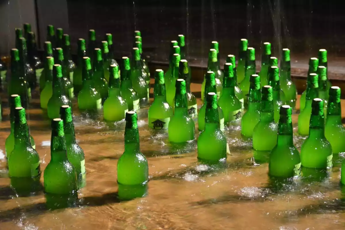 Muchas botellas verdes de vidrio sumergidas por la mitad en agua