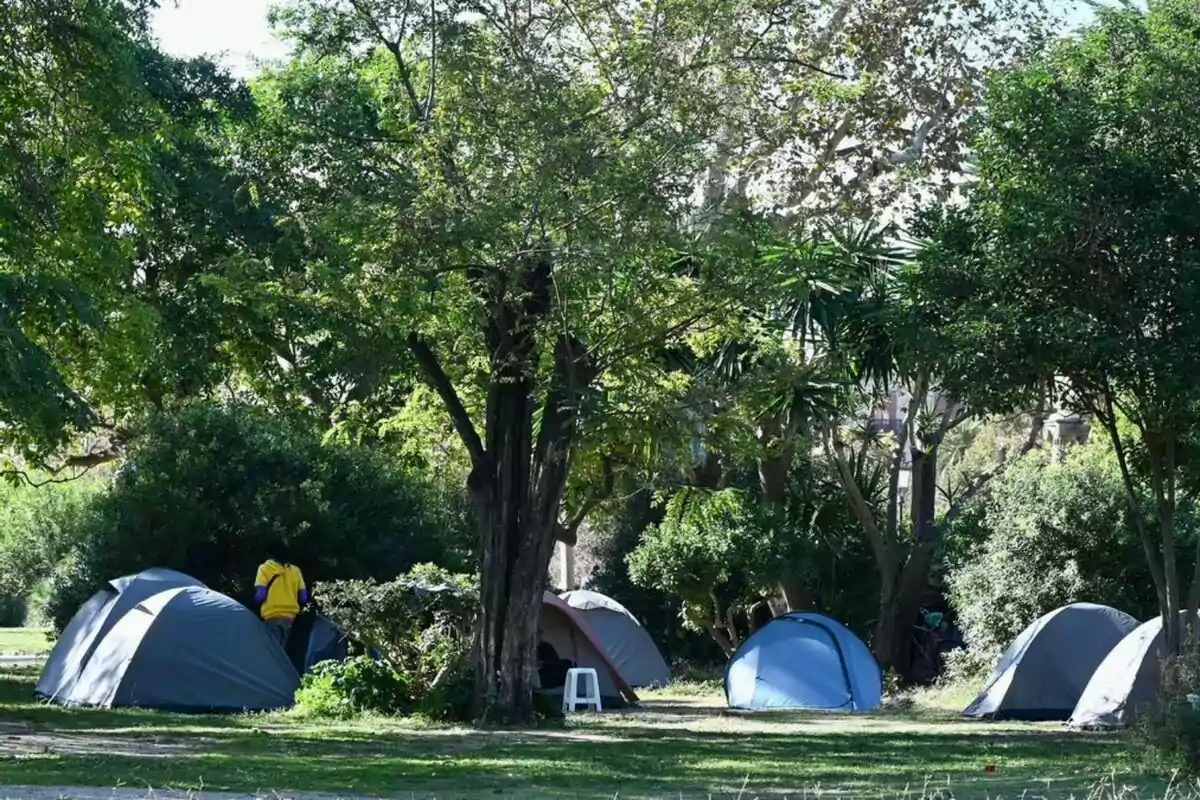Varias casas de campaña instaladas en un área verde rodeada de árboles y arbustos, con una persona de pie junto a una de las tiendas y una silla blanca de plástico en el centro Varias casas de campaña instaladas en un área verde rodeada de árboles y arbustos, con una persona de pie junto a una de las tiendas y una silla blanca de plástico en el centro