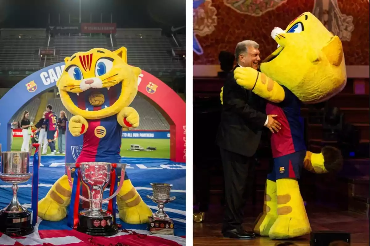 La mascota del FC Barcelona, un gato amarillo con uniforme del equipo, posa junto a trofeos en un estadio y abraza a un hombre en un evento bajo techo La mascota del FC Barcelona, un gato amarillo con uniforme del equipo, posa junto a trofeos en un estadio y abraza a un hombre en un evento bajo techo