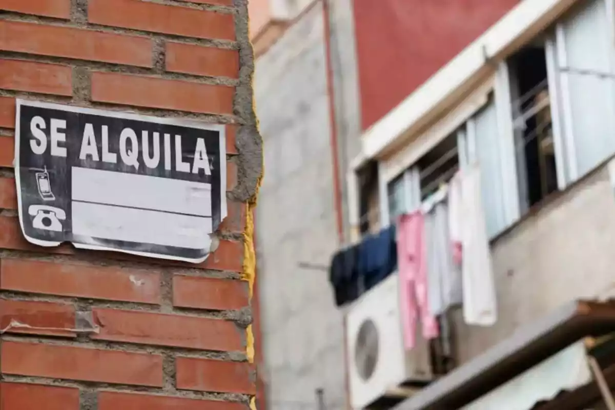 Cartel de se alquila pegado en una pared de ladrillos con un edificio y ropa tendida al fondo