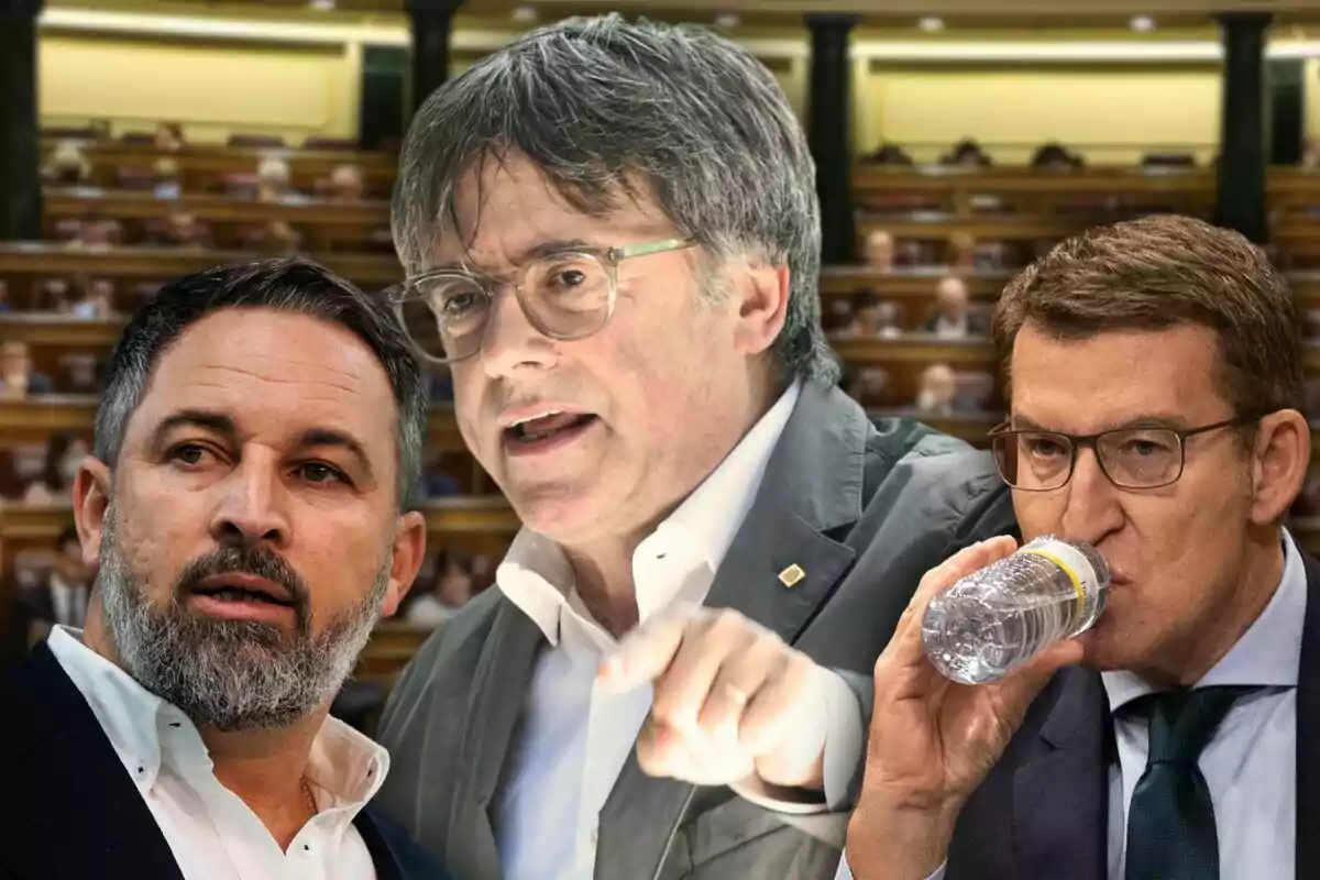 Montaje con Santiago Abascal, Carles Puigdemont y Alberto Núñez Feijóo con una imagen de fondo del Congreso de los Diputados