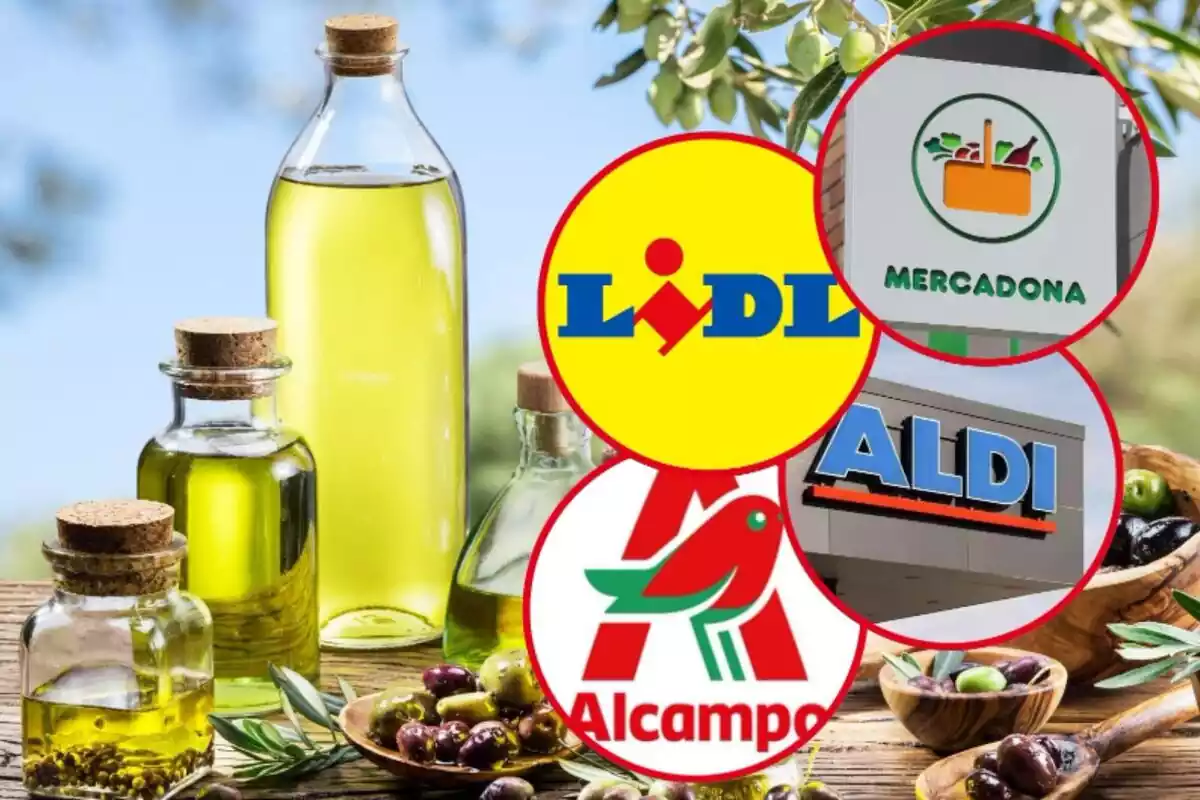 Aceite de oliva y los logos de Mercadona, Lidl, Aldi y Alcampo