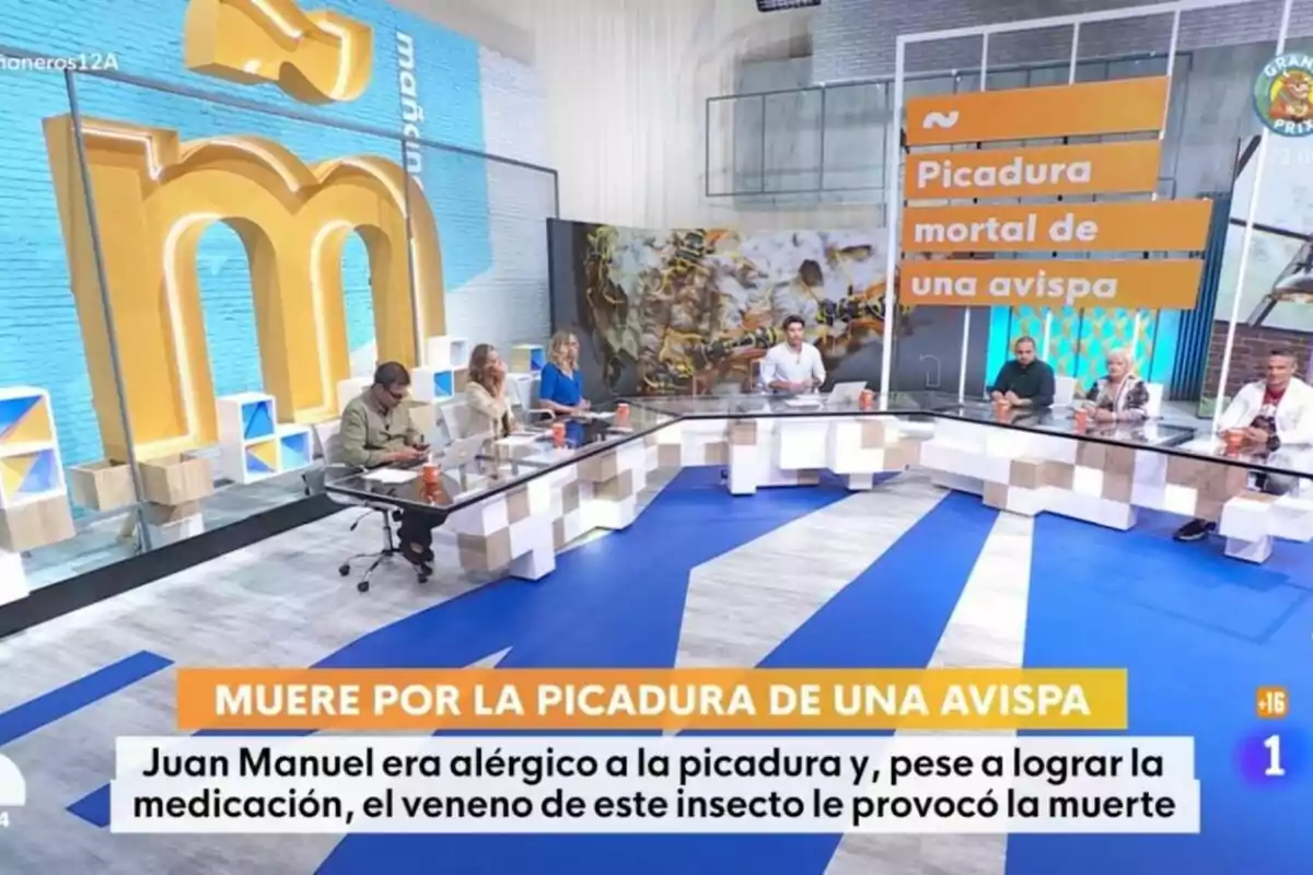 Captura de Mañaneros con Alberto Herrera informa sobre la muerte de Juan Manuel debido a la picadura de una avispa, destacando que era alérgico y que, a pesar de recibir medicación, el veneno del insecto le causó la muerte. Captura de Mañaneros con Alberto Herrera informa sobre la muerte de Juan Manuel debido a la picadura de una avispa, destacando que era alérgico y que, a pesar de recibir medicación, el veneno del insecto le causó la muerte.