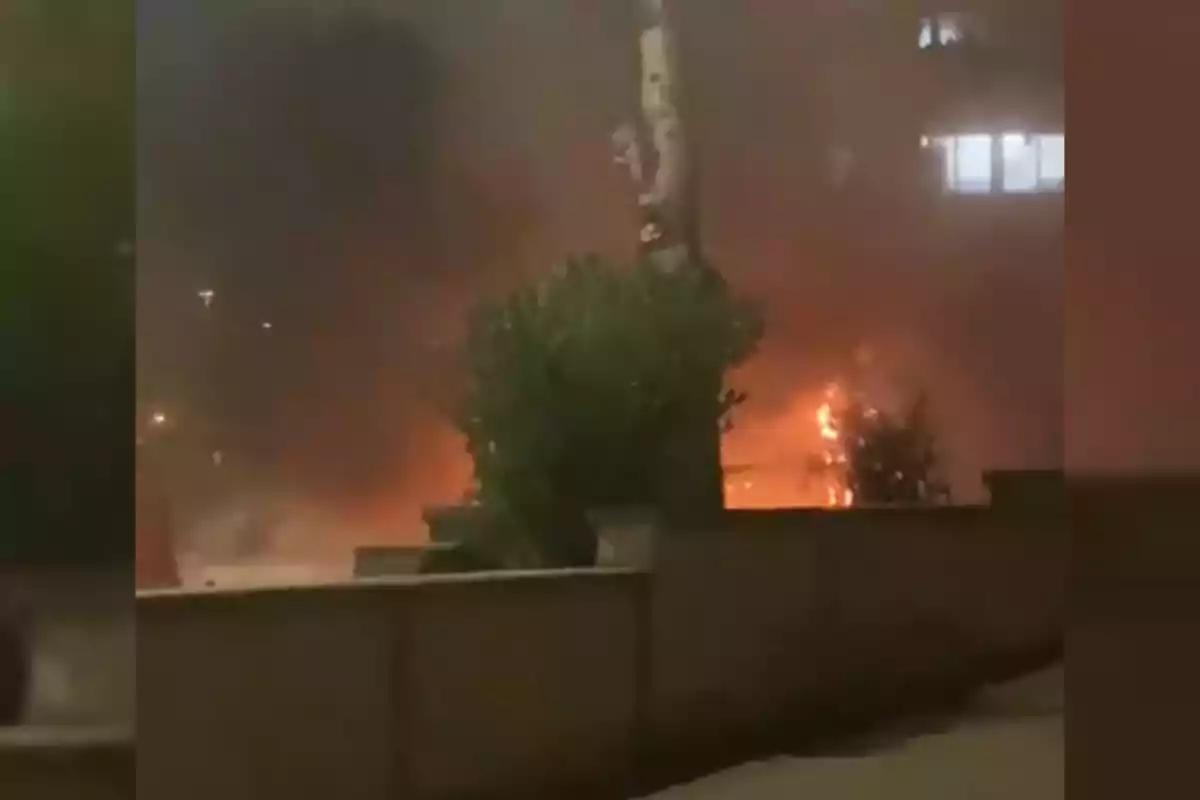 Una escena nocturna muestra un incendio detrás de un arbusto y un árbol en una calle.