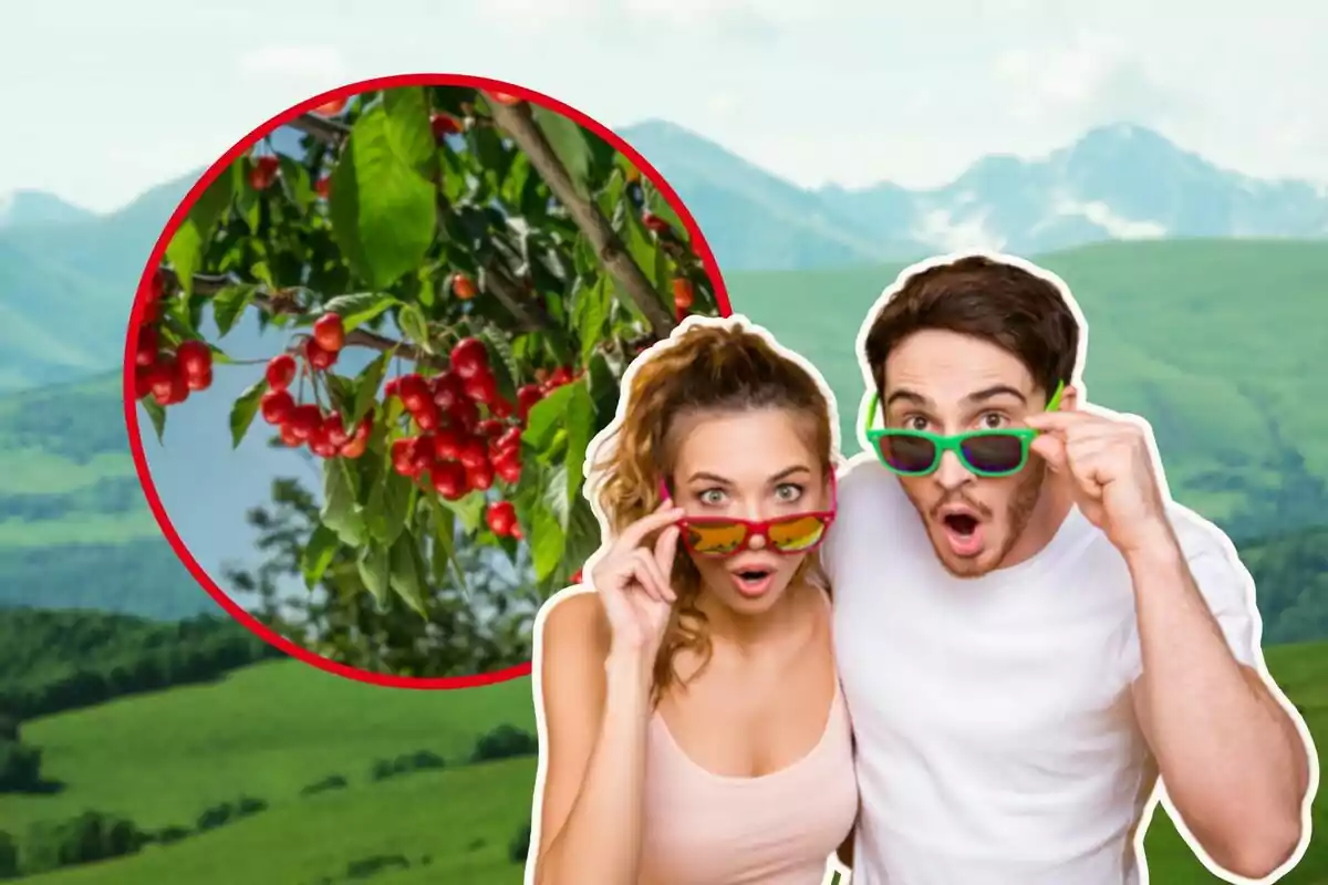 Una pareja con gafas de sol muestra una expresión de sorpresa mientras observa un árbol con cerezas en un paisaje montañoso.