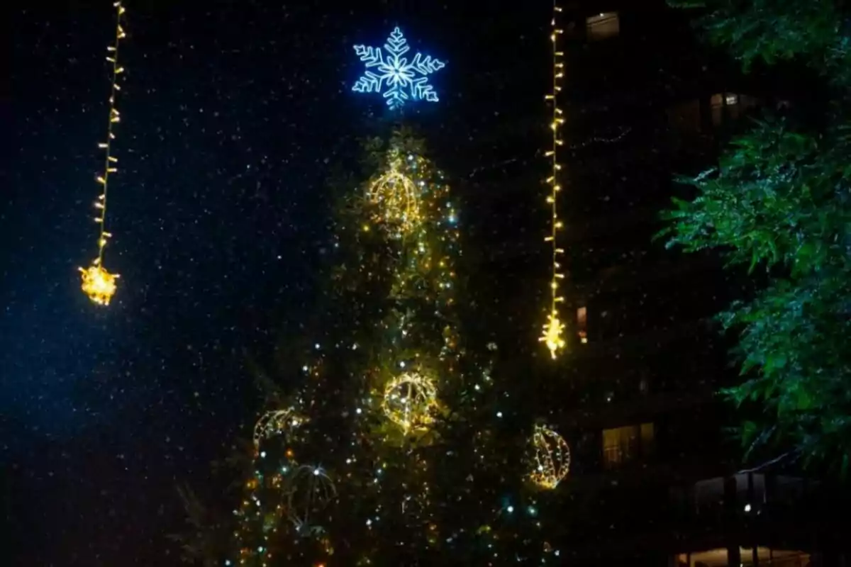 Árbol de Navidad iluminado con luces y una estrella en la cima durante la noche.