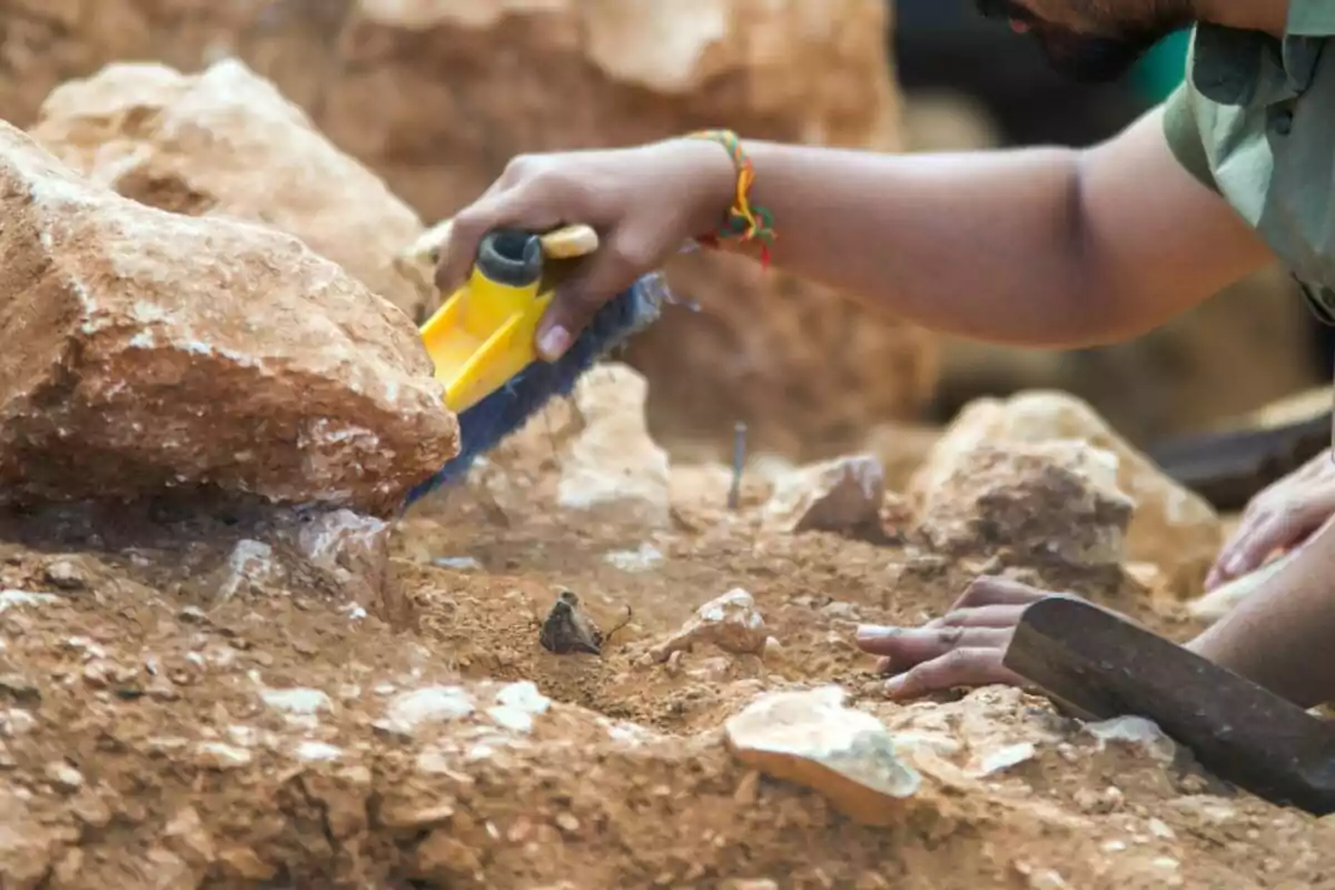 Una persona usando un cepillo para limpiar cuidadosamente un área de excavación arqueológica. Una persona usando un cepillo para limpiar cuidadosamente un área de excavación arqueológica.