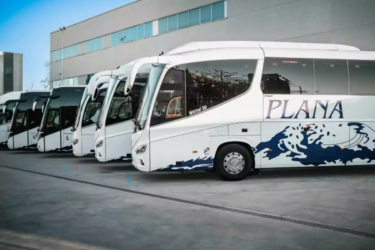 Una fila de autobuses blancos estacionados junto a un edificio.