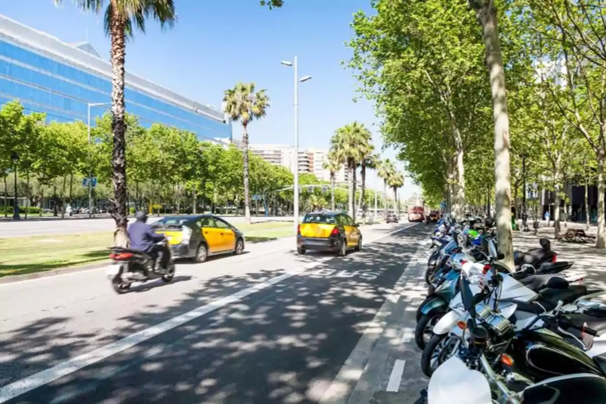 Una calle arbolada con palmeras, motocicletas estacionadas y vehículos en movimiento en un día soleado.