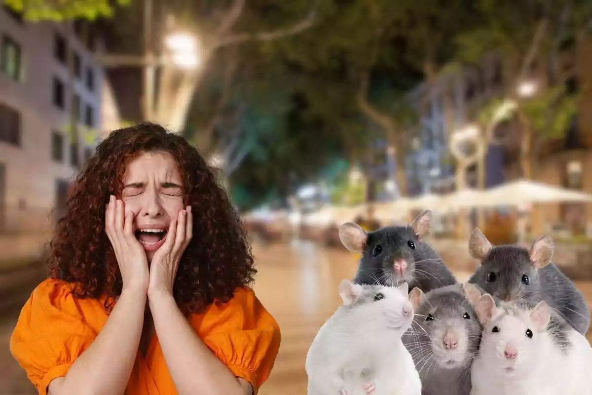 Montaje de mujer gritando asustada en Barcelona por una plaga de ratas de incluso cinco juntas.