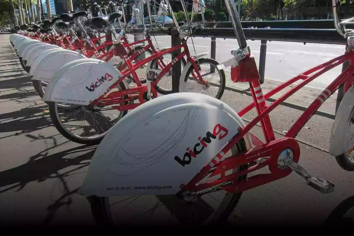 Imagen del servicio de Bicing en Barcelona en la que se puede ver a varias bicicletas aparcadas