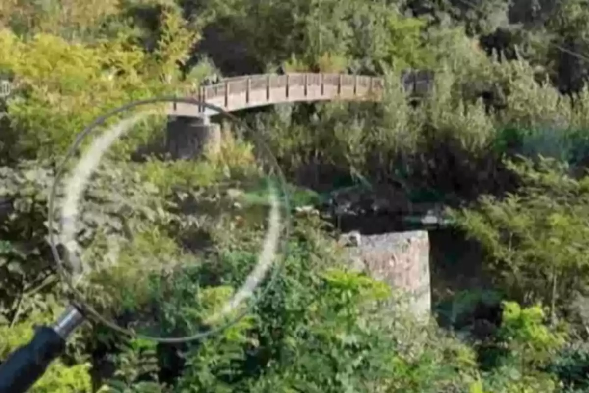 Una lupa enfocando un puente de madera rodeado de vegetación. Una lupa enfocando un puente de madera rodeado de vegetación.