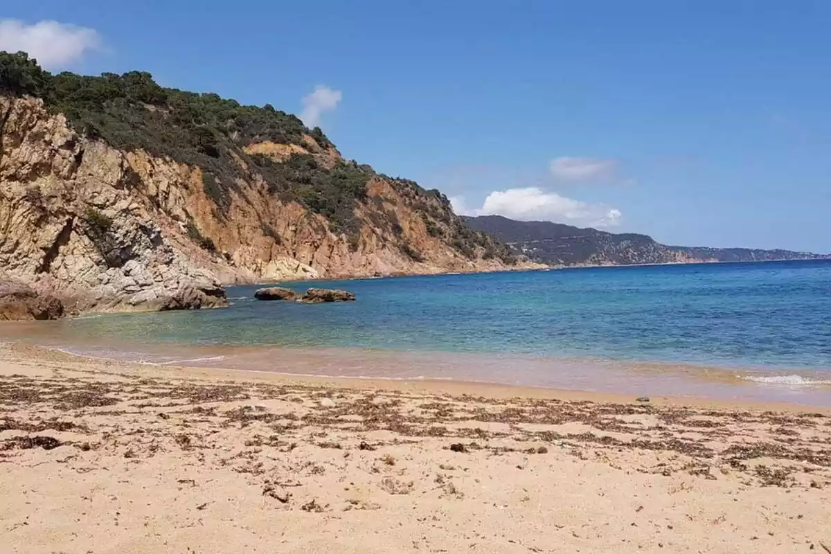 Imagen de la cala Futadera, en Tossa de Mar, la Selva