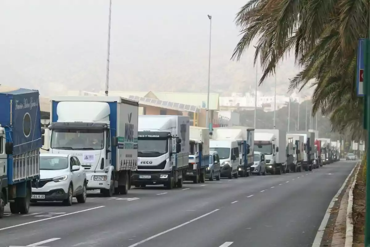 Las organizaciones agrarias Asaja, COAG, UPA y las organizaciones de comercialización Coexphal y Ecohal convocan una concentración de camiones y vehículos agrícolas en Almería. En la explanada del Puerto de Almería.