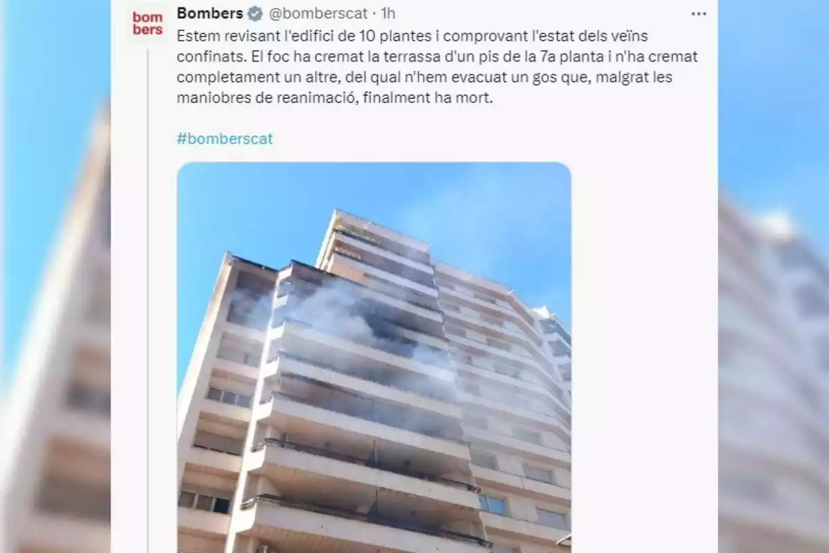 Captura de un tweet de Bombers de la Generalitat sobre el incendio de un bloque en Lérida Captura de un tweet de Bombers de la Generalitat sobre el incendio de un bloque en Lérida