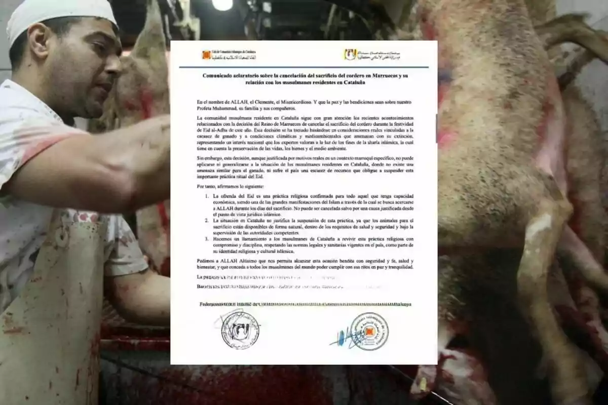 Un carnicero trabaja en el sacrificio de un cordero mientras un comunicado oficial sobre la cancelación de este ritual en Marruecos y su impacto en la comunidad musulmana en Cataluña se muestra en primer plano. Un carnicero trabaja en el sacrificio de un cordero mientras un comunicado oficial sobre la cancelación de este ritual en Marruecos y su impacto en la comunidad musulmana en Cataluña se muestra en primer plano.