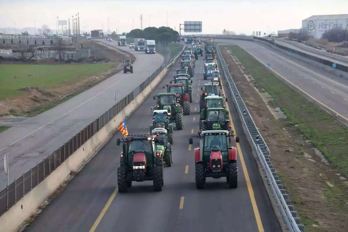 Carretera A-2 llena de tractores en circulación en Alcarrás