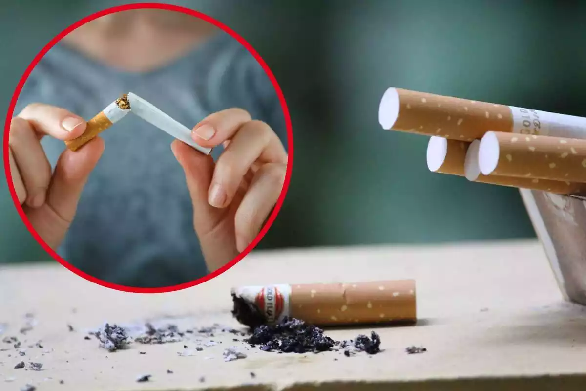 Imagen de fondo de unos cigarrillos y otra imagen en primer plano de una persona rompiendo un cigarrillo