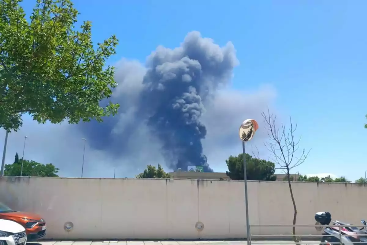 Una gran columna de humo negro se eleva hacia el cielo azul de Sevilla desde detrás de un muro blanco con árboles y vehículos en primer plano. Una gran columna de humo negro se eleva hacia el cielo azul de Sevilla desde detrás de un muro blanco con árboles y vehículos en primer plano.