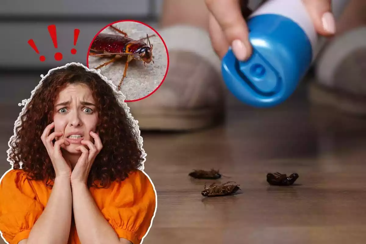 Imagen de fondo de una persona matando tres cucarachas con un insecticida, junto a otra imagen de una mujer asustada y otra de una cucaracha en primer plano
