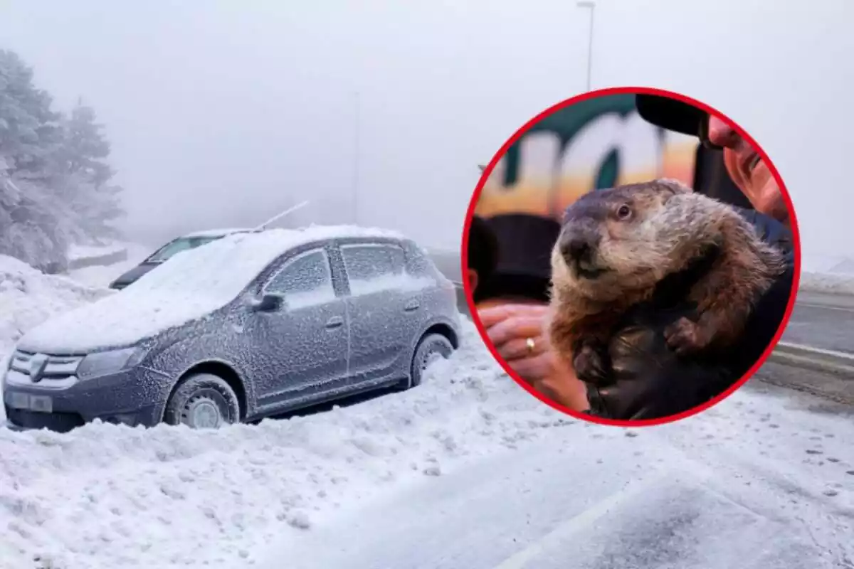 Montaje con un coche nevado y una marmota en brazos de un señor oscuro