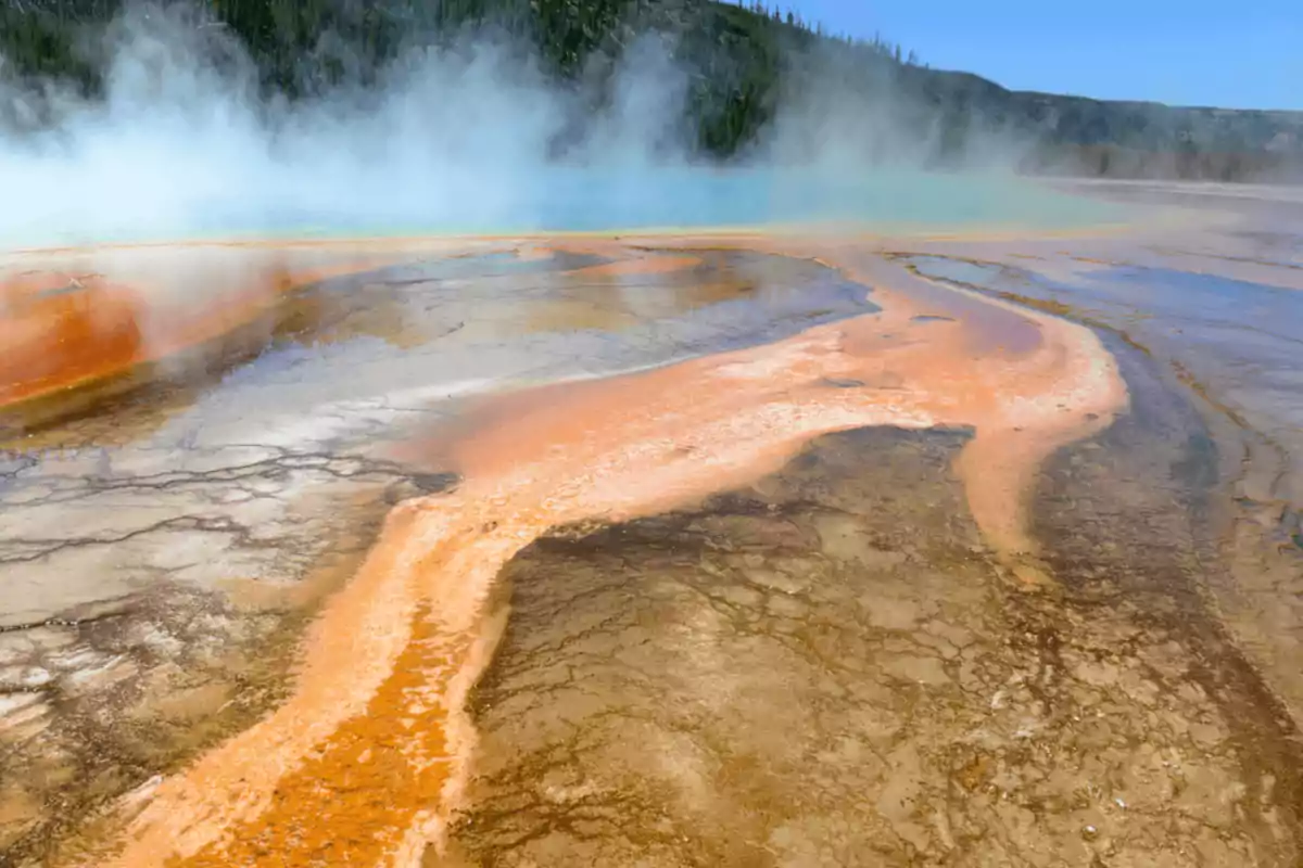 Vista de una fuente termal con aguas de colores vibrantes y vapor en el aire en un paisaje natural.