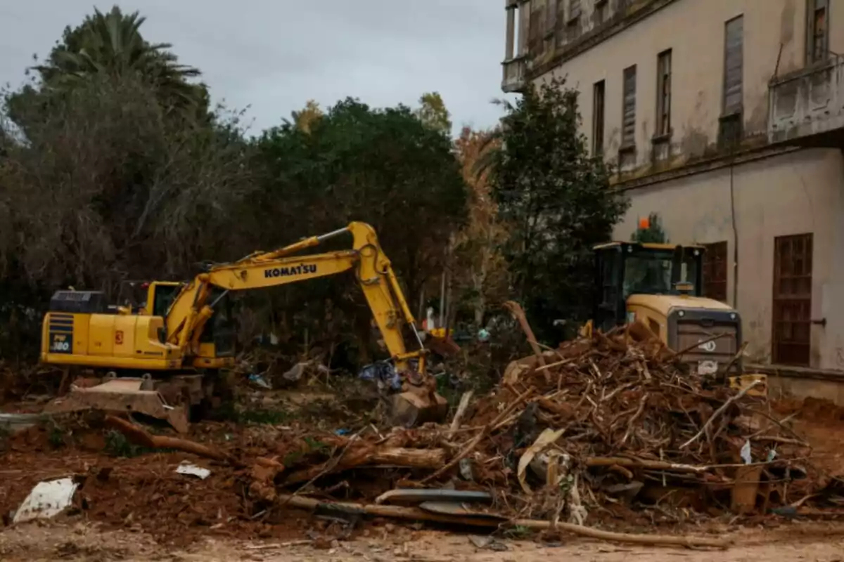 Una excavadora amarilla y una máquina de construcción trabajan en un sitio lleno de escombros y vegetación cerca de un edificio antiguo.