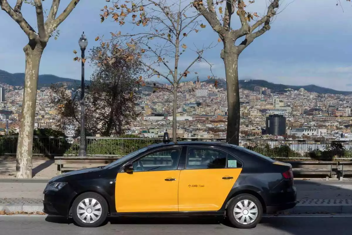 Foto de un taxi en primer plano y de fondo las vistas de la ciudad de Barcelona