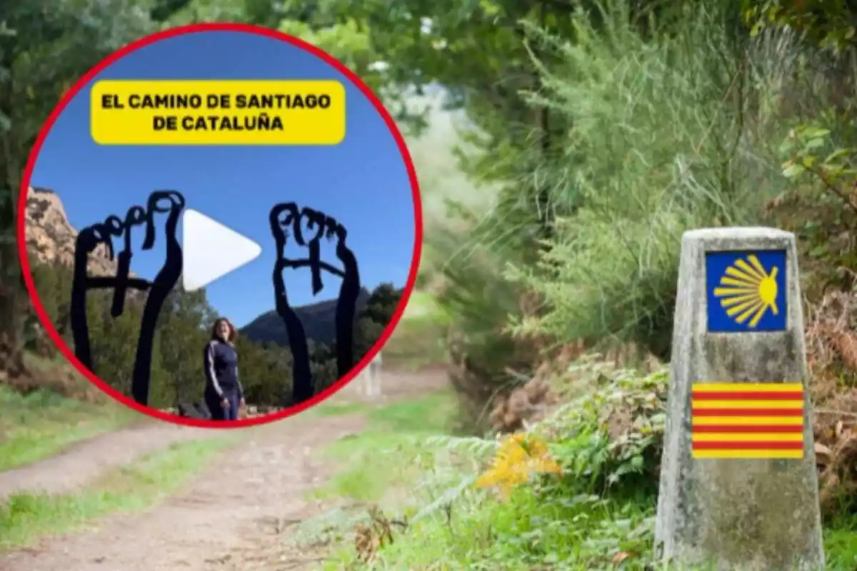 Fotomontaje con un fondo del Camino de Santiago y una imagen enmarcada de una publicación de Instagram