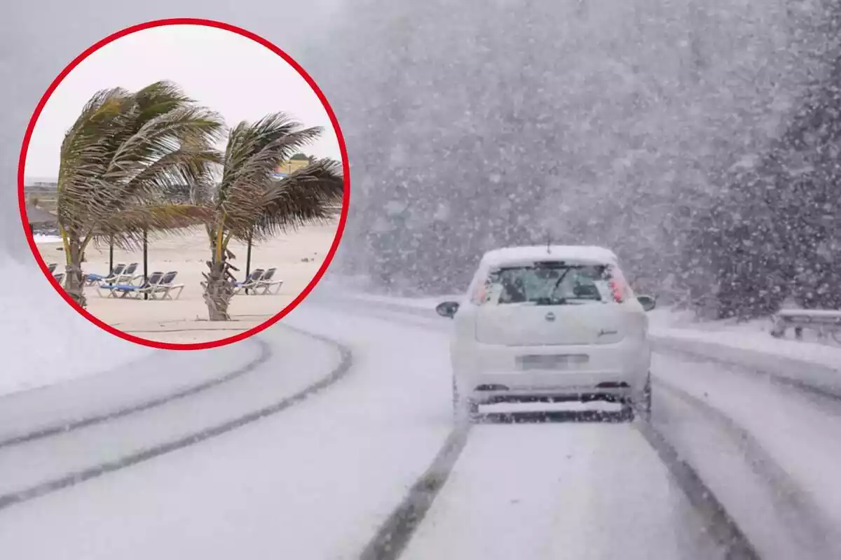 Fotomontaje con una imagen de fondo de un coche circulando por la nieve y una redonda roja con palmeras con viento