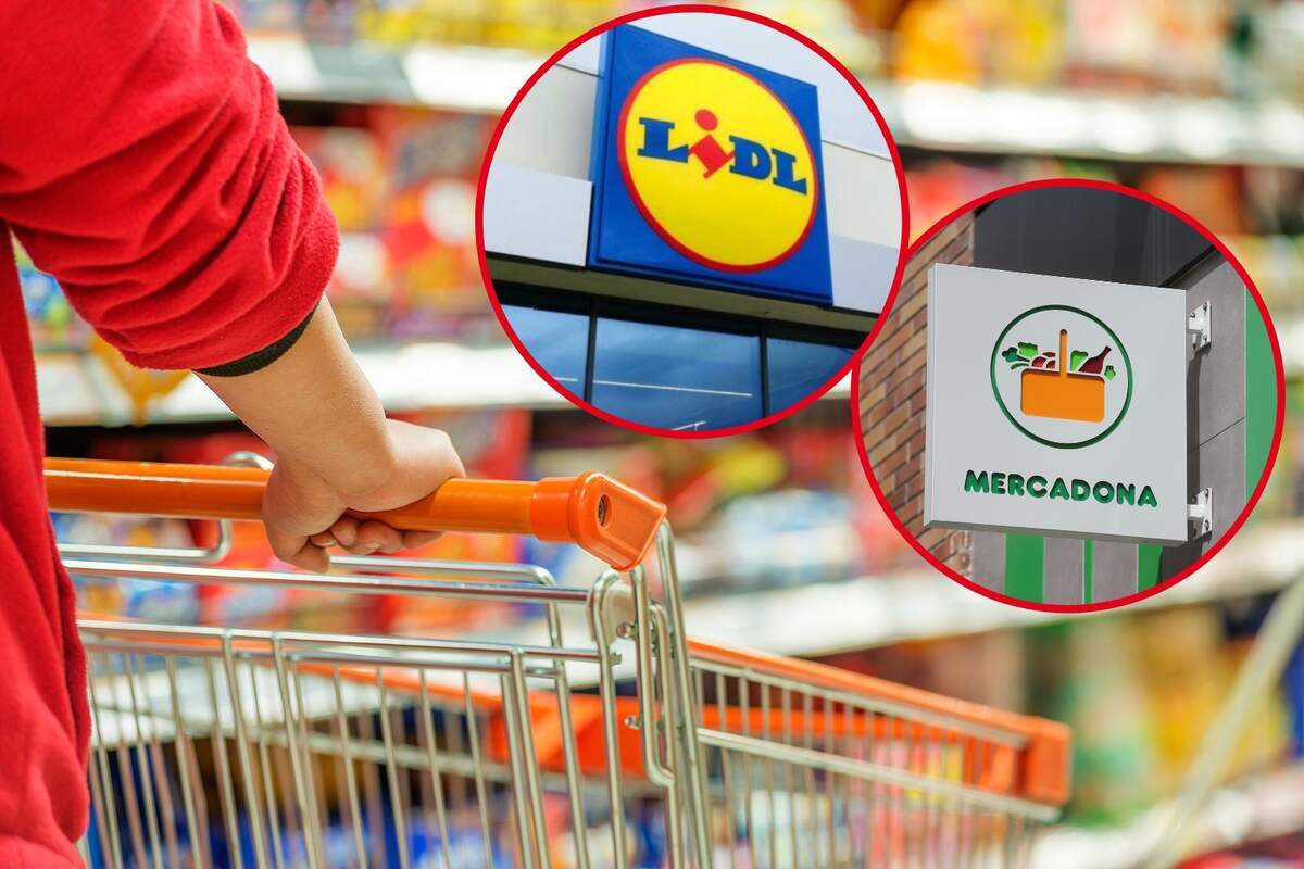 Mercadona Y Lidl Atentos El Supermercado Que Prepara Una Gran Novedad