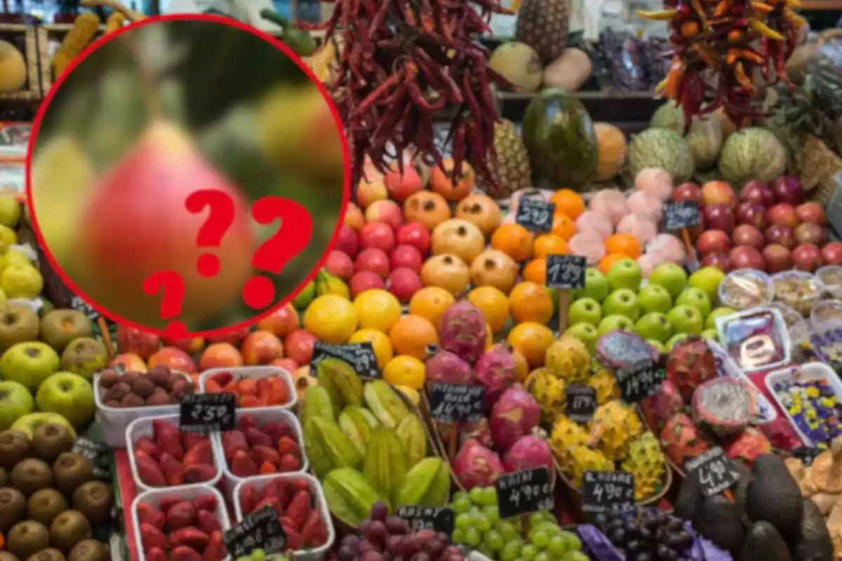 Fotomontaje con una parada del mercado de La Boqueria de Barcelona de frutas y una redonda roja al frente con una pera difuminada y tres interrogaciones