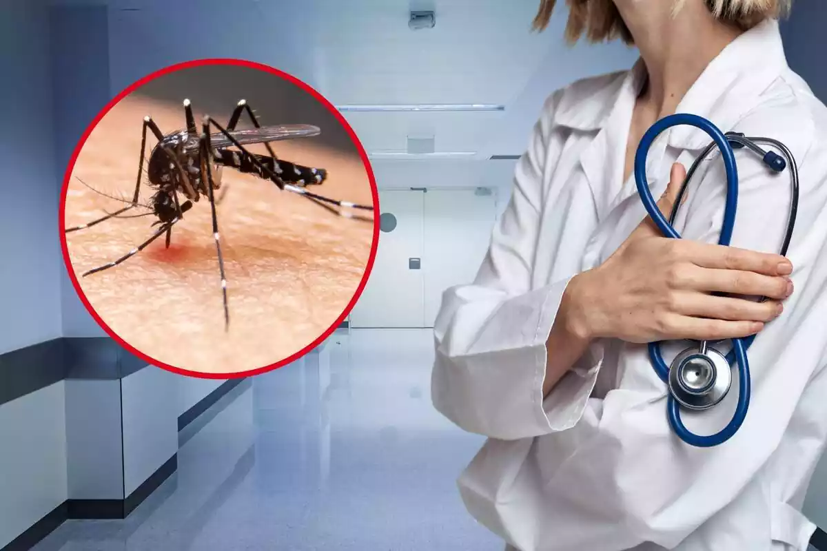 Montaje fotográfico entre una doctora y el mosquito Dengue