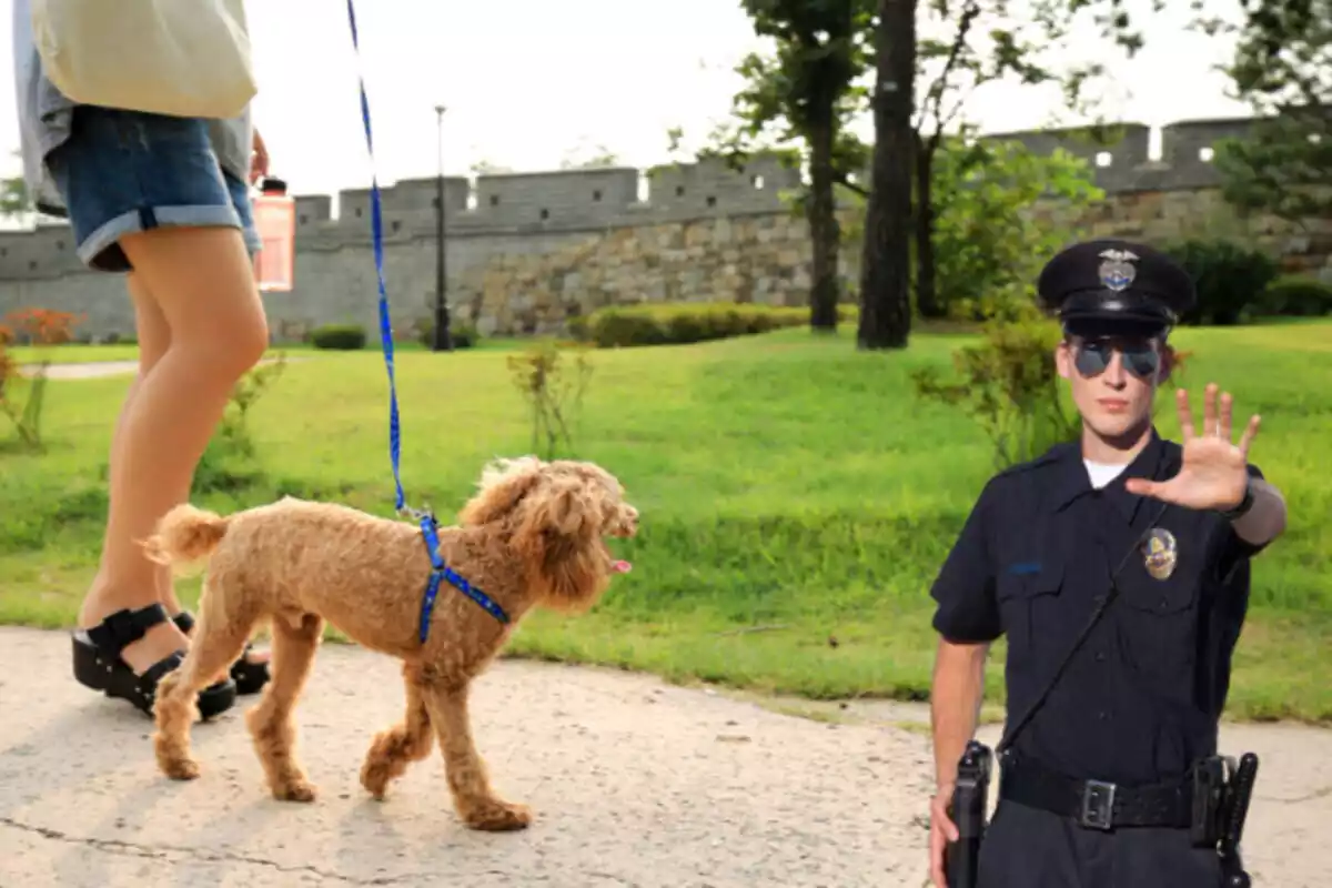 Fotomontaje de un perro paseando y un policía dando el alto