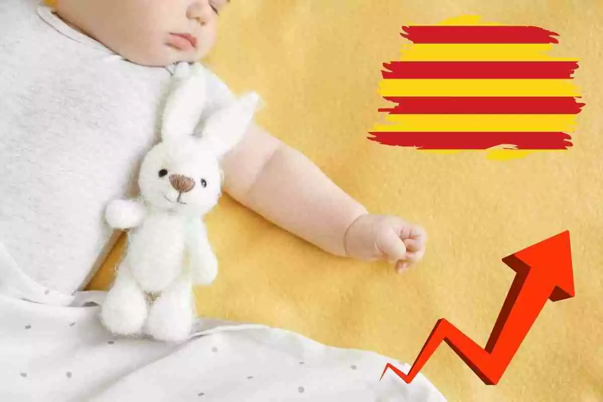 Fotomontaje con una imagen de fondo de un bebé y al frente una gráfica de aumento y una bandera catalana