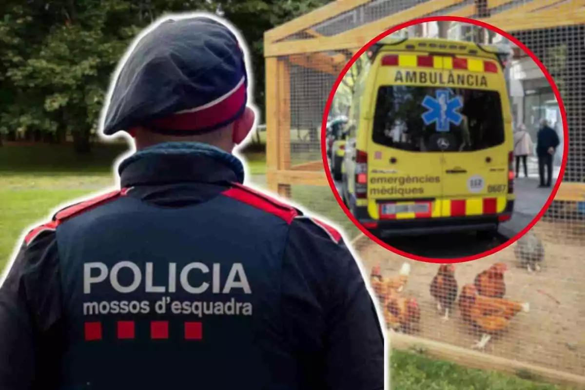 Un agente de la policía de los Mossos d'Esquadra de espaldas con una ambulancia y un gallinero en el fondo.