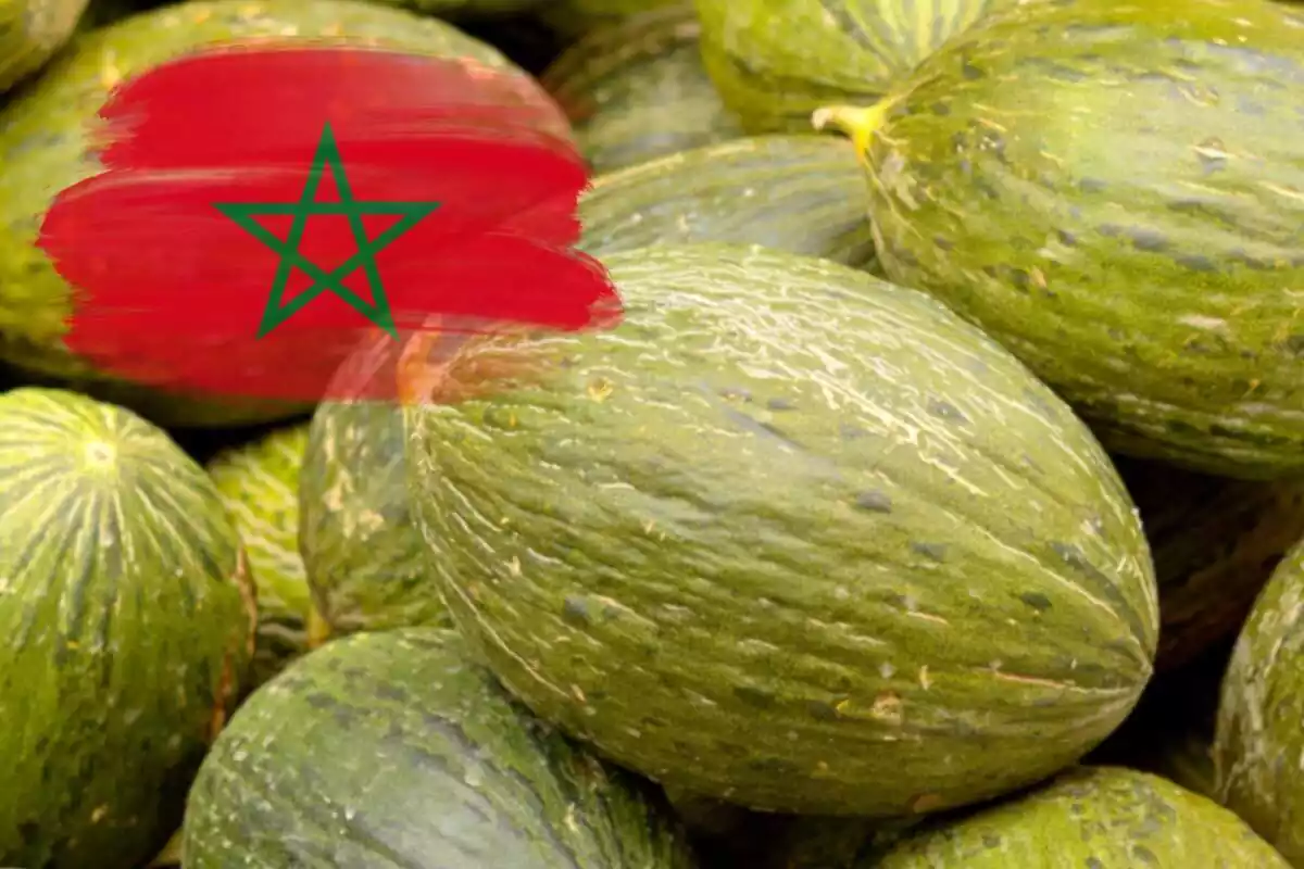 Fotomontaje con una imagen de fondo de unos melones y al frente la bandera de Marruecos