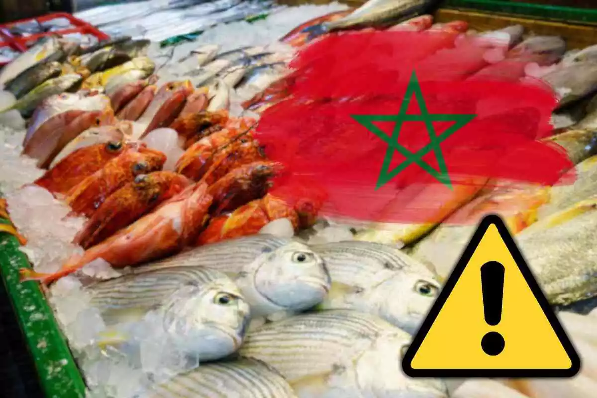 Fotomontaje con una imagen de fondo de pescados y al frente una bandera de Marruecos y un símbolo de alerta