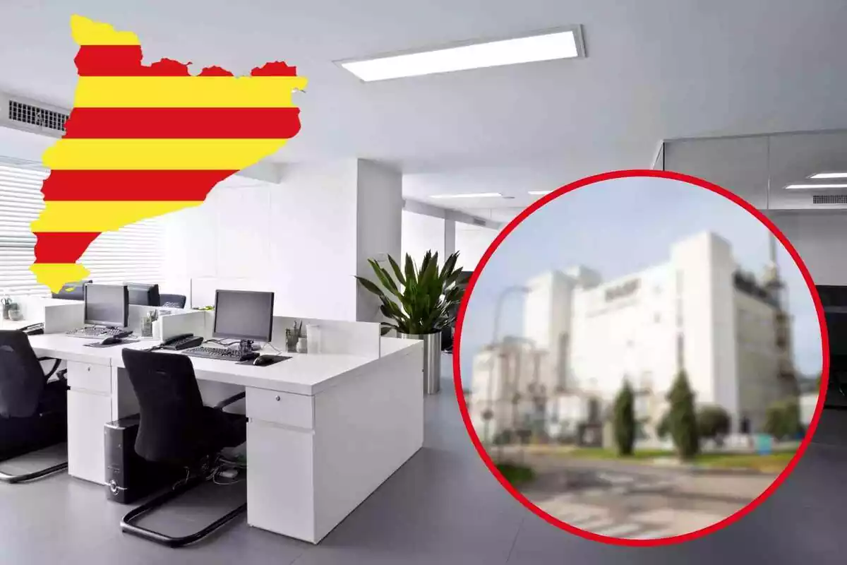 Fotomontaje con una imagen de fondo de las oficinas de una empresa y al frente un mapa de Cataluña con la bandera catalana y una redonda roja con una planta difuminada de BASF