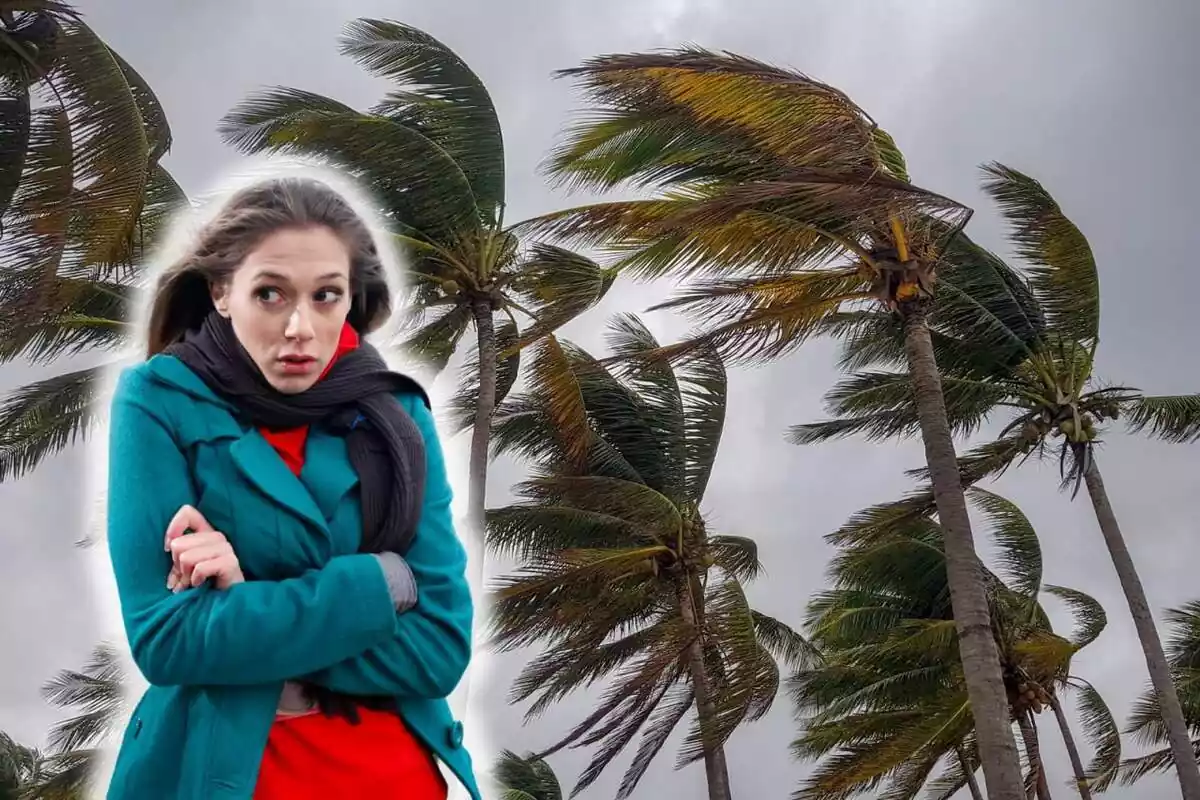 Fotomontaje de una mujer tapada y palmeras en movimiento por el viento