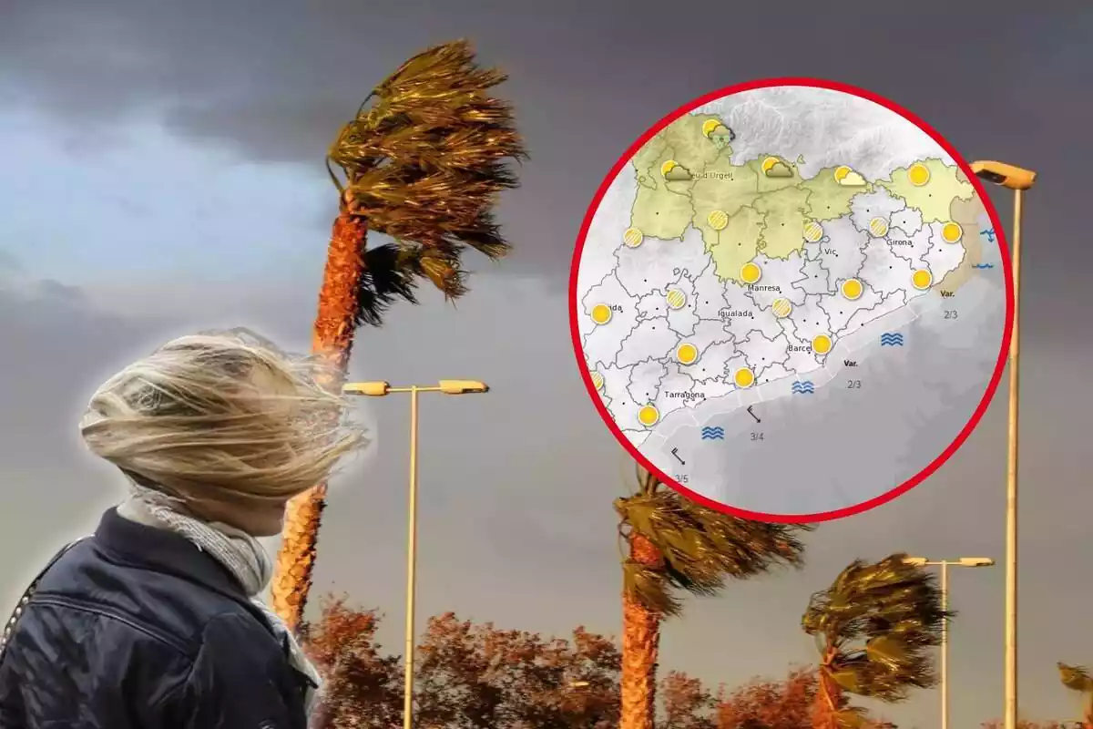 Montaje fotográfico entre una imagen de palmeras, una mujer afectada por el viento y un mapa del meteocat