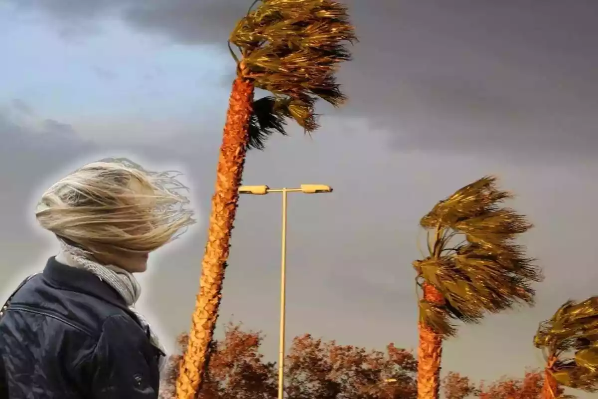 Fotomontaje entre una imagen de palmeras con viento y una mujer con el pelo volando