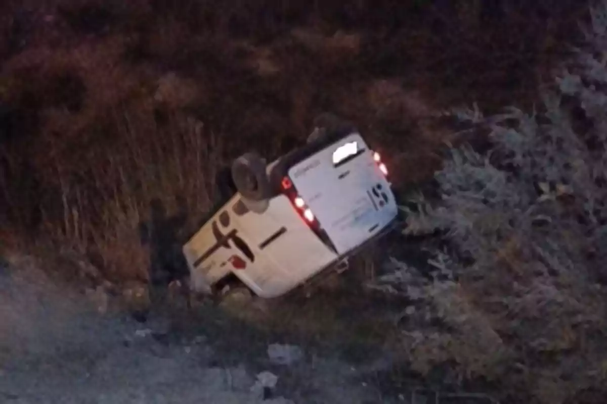 Una camioneta blanca volcada en un área con vegetación.