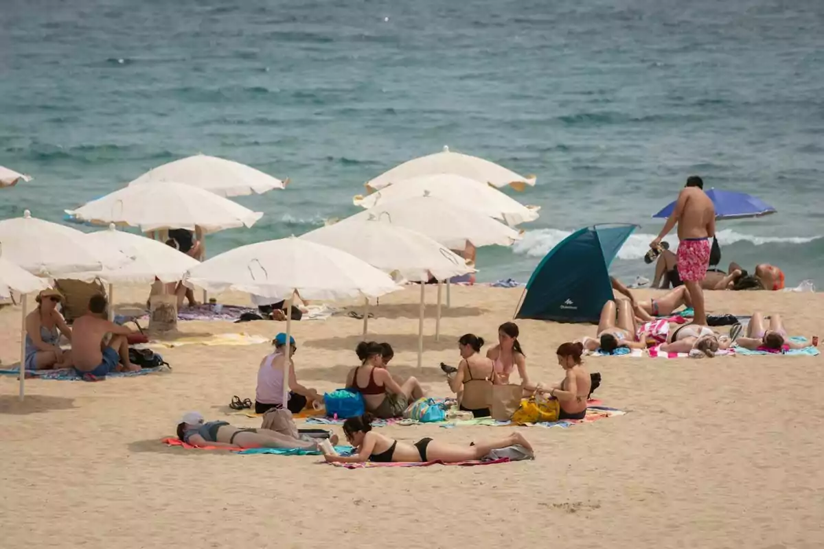 Bañistas durante la nueva prohibición de fumar, en la playa del Bogatell, a 25 de julio de 2022, en Barcelona, Catalunya (España)