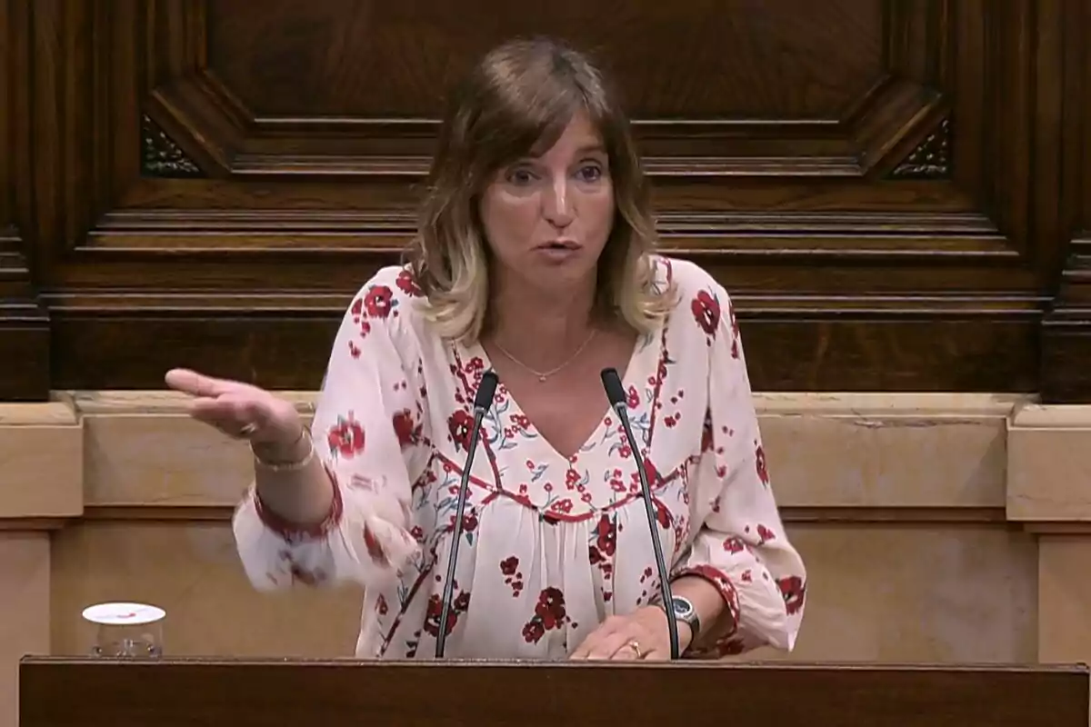 Mujer hablando en un podio con micrófonos en un entorno parlamentario, lleva una blusa clara con flores rojas y gesticula con una mano.
