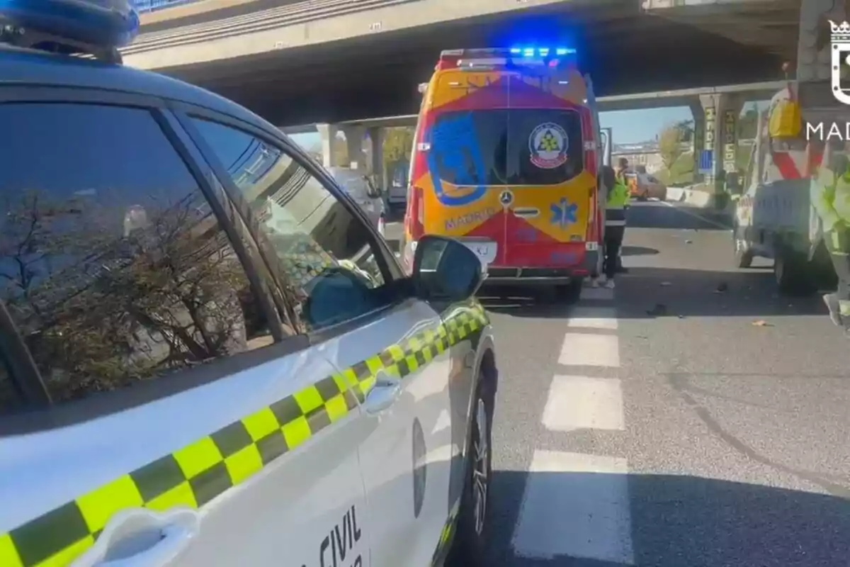 Vehículos de emergencia en una carretera bajo un puente.