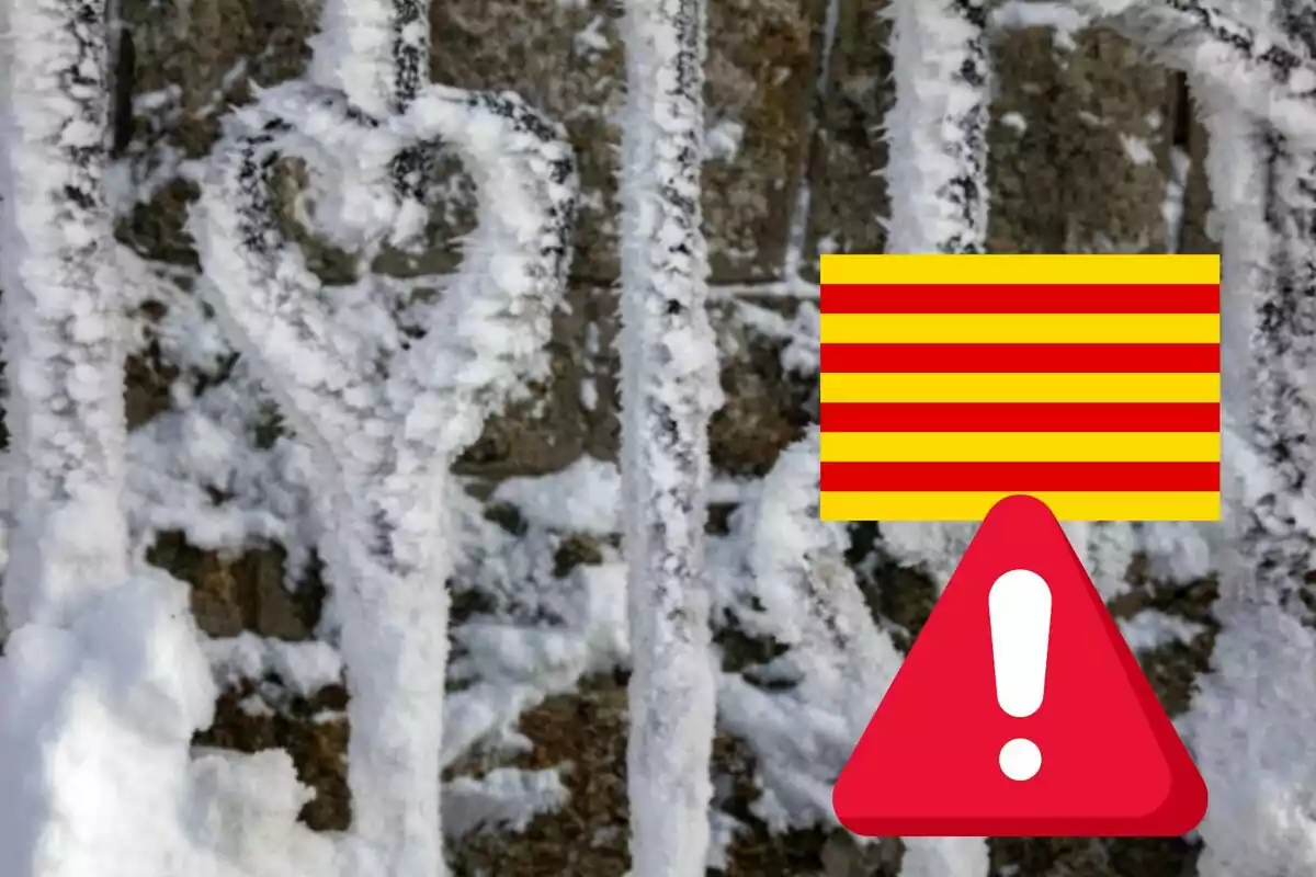 Reja cubierta de nieve con forma de corazón y una bandera con un símbolo de advertencia.