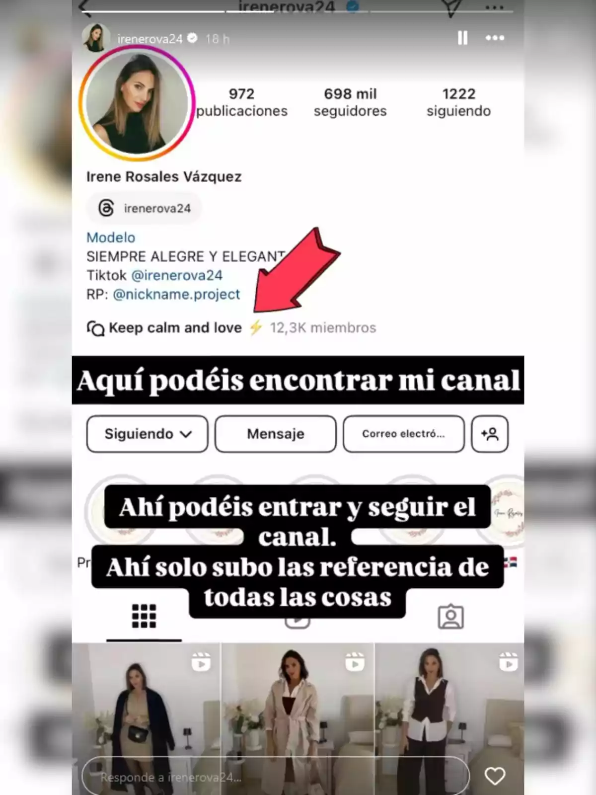 Historia de Instagram de Irene Rosales subida el 30 de octubre de 2024, con un enlace a un canal llamado 