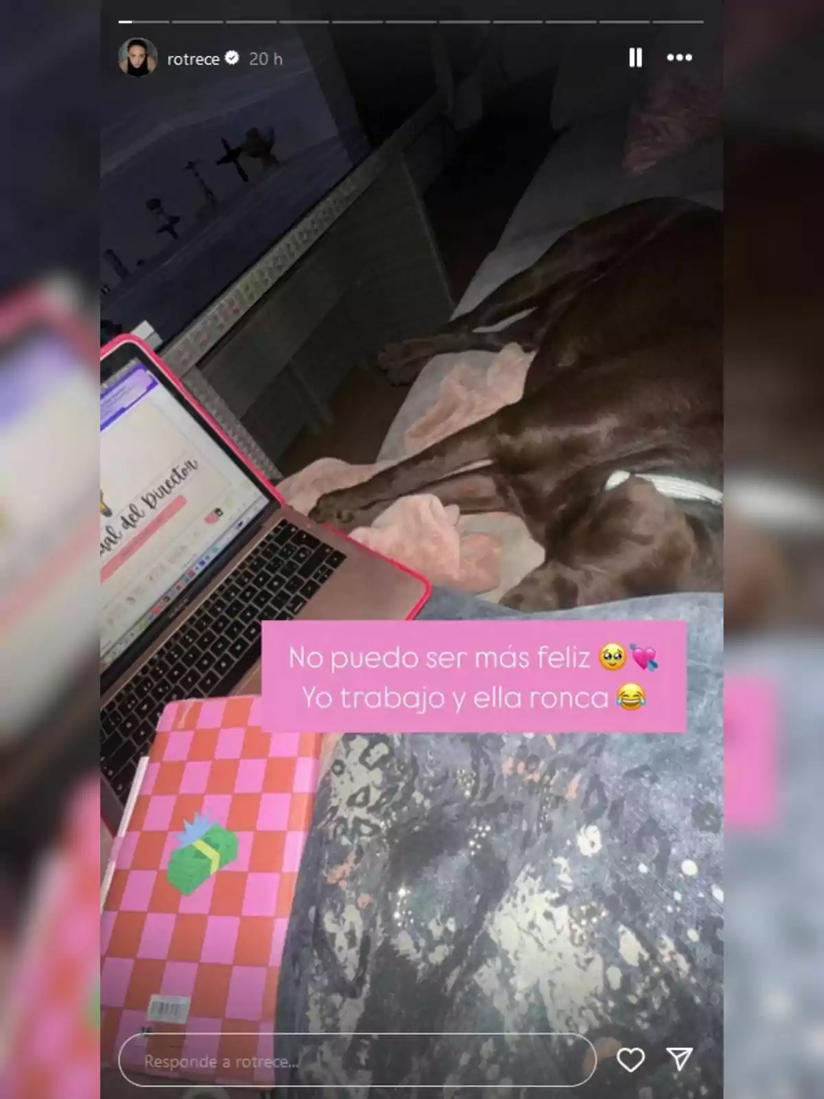 Rocío Flores trabajando en su computadora portátil mientras un perro duerme a su lado en el sofá. Rocío Flores trabajando en su computadora portátil mientras un perro duerme a su lado en el sofá.